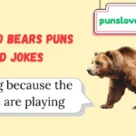 Chicago Bears Puns and Jokes