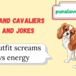 Cleveland Cavaliers Puns and Jokes