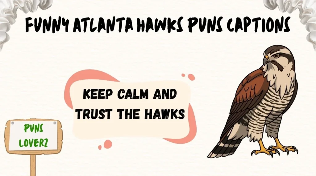 Funny Atlanta Hawks Puns Captions