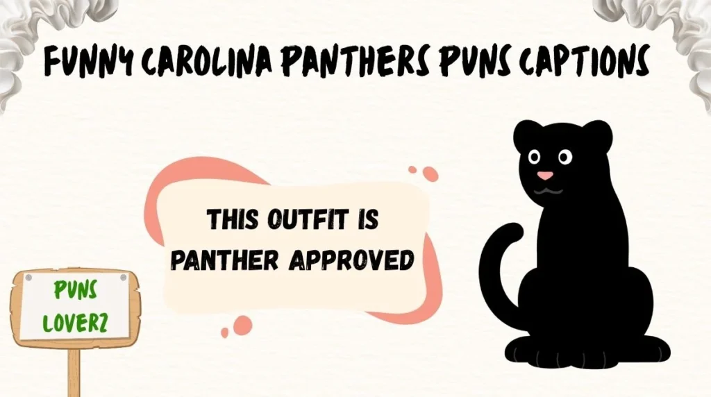 Funny Carolina Panthers Puns Captions