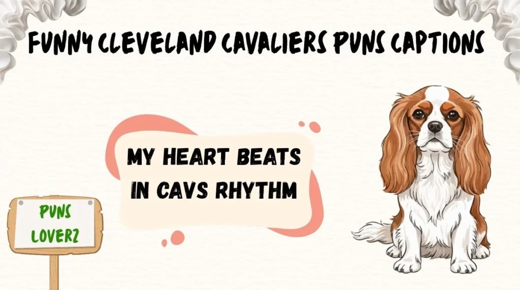 Funny Cleveland Cavaliers Puns Captions