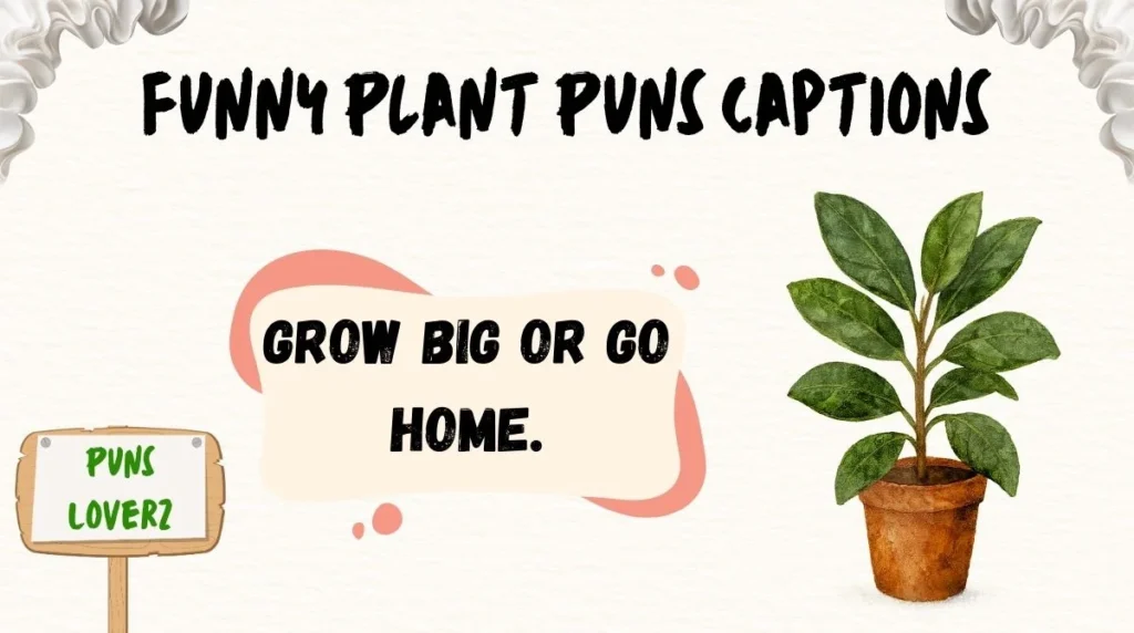 Funny Plant Puns Captions