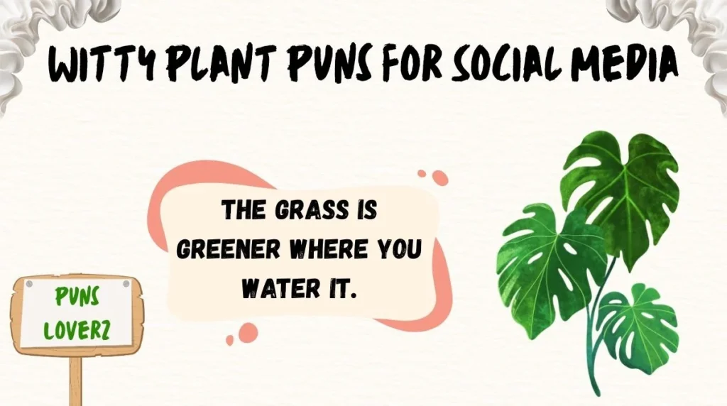 Witty Plant Puns for Social Media